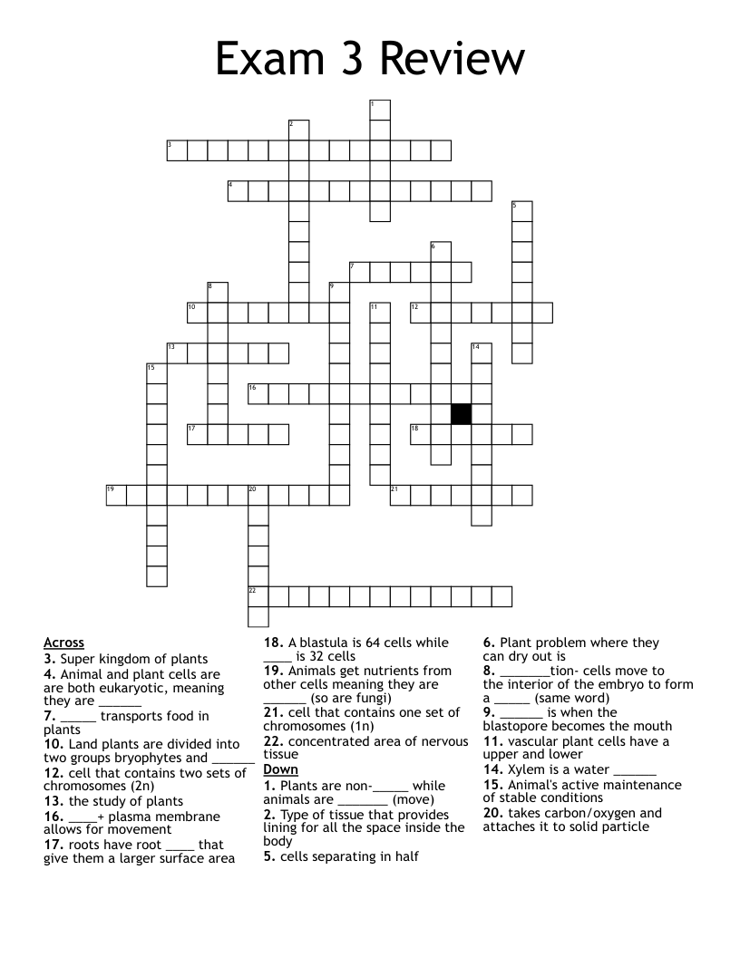 Exam 3 Review Crossword