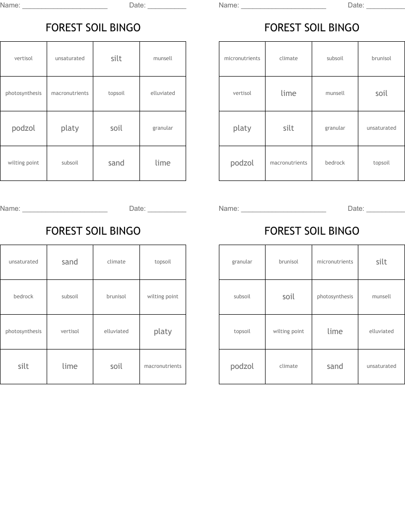 FOREST SOIL BINGO