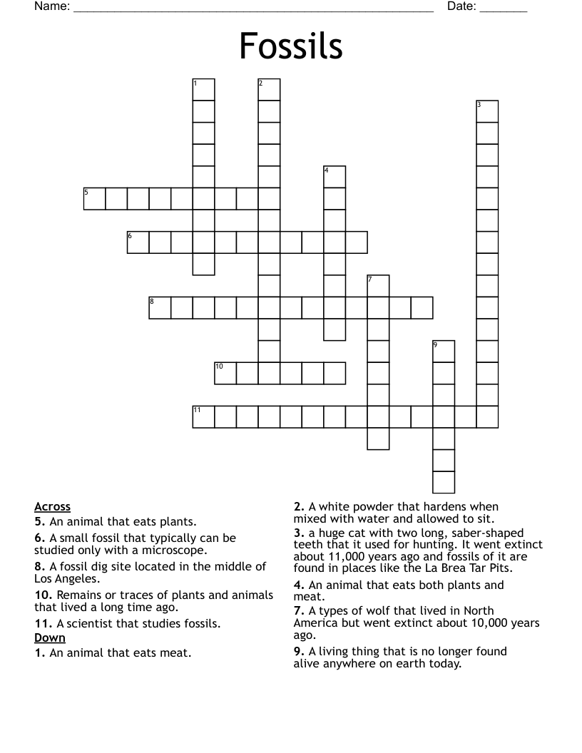 Fossils Crossword WordMint