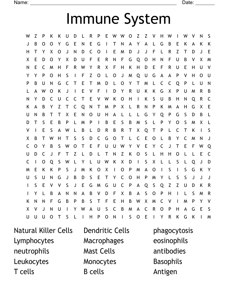 Immune System Word Search
