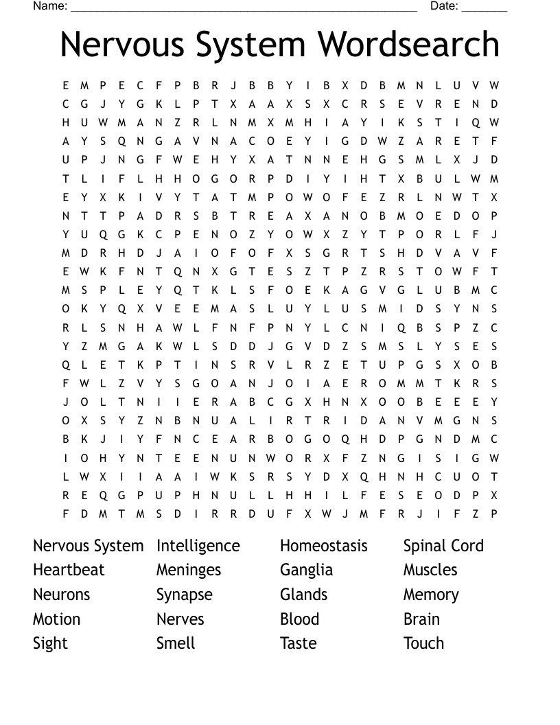 Nervous System Wordsearch
