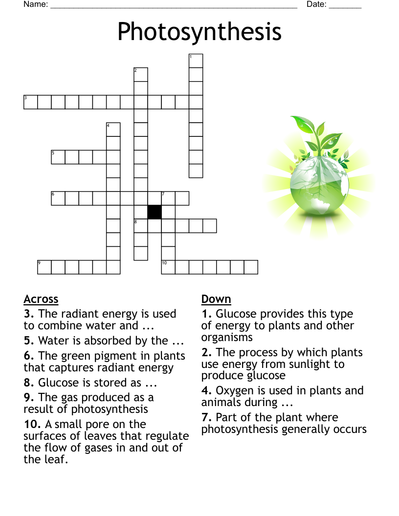Similar To Portfolio Crossword WordMint