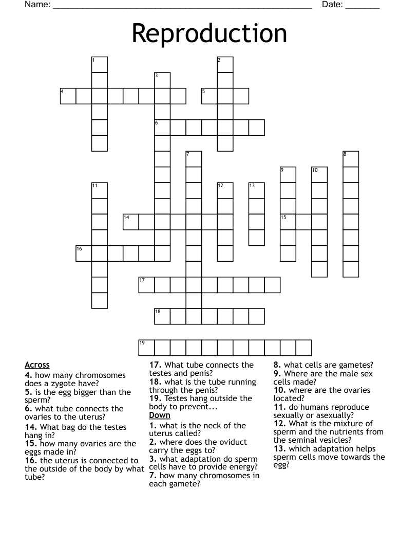 Reproduction Crossword