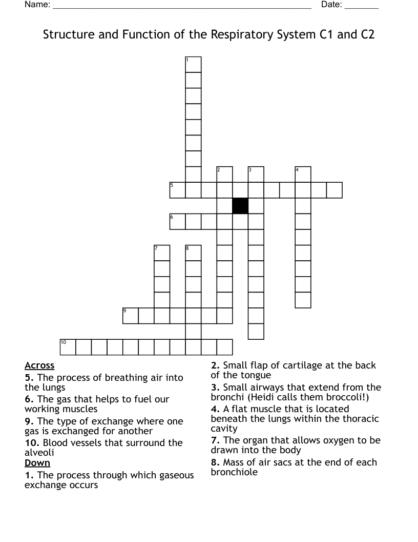 Structure and Function of the Respiratory System C1 and C2