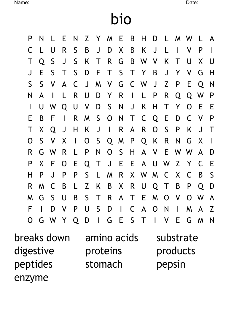 bio Word Search