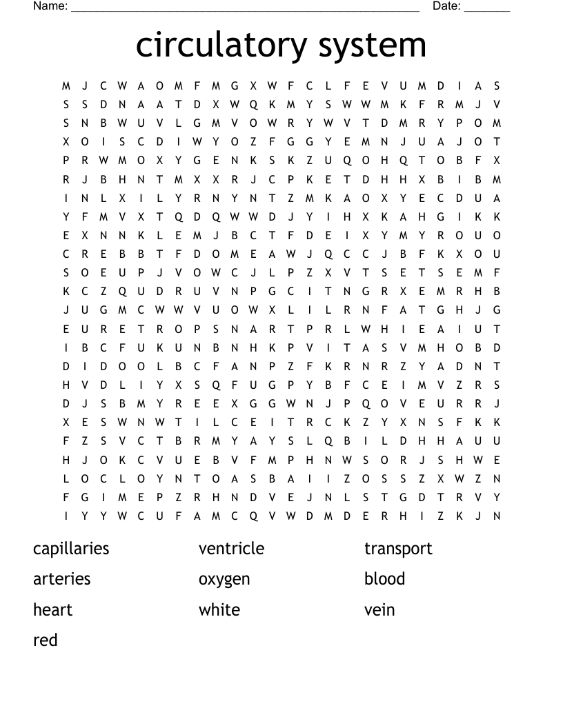 circulatory system Word Search