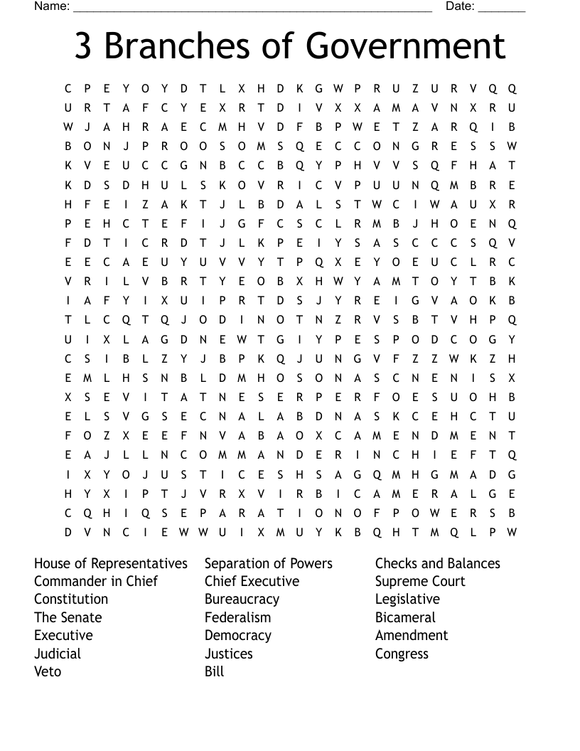 3 Branches of Government Word Search