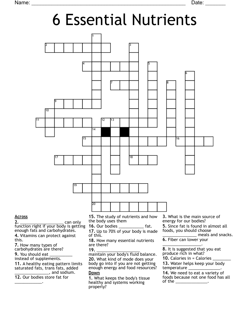 6 Essential Nutrients Crossword WordMint