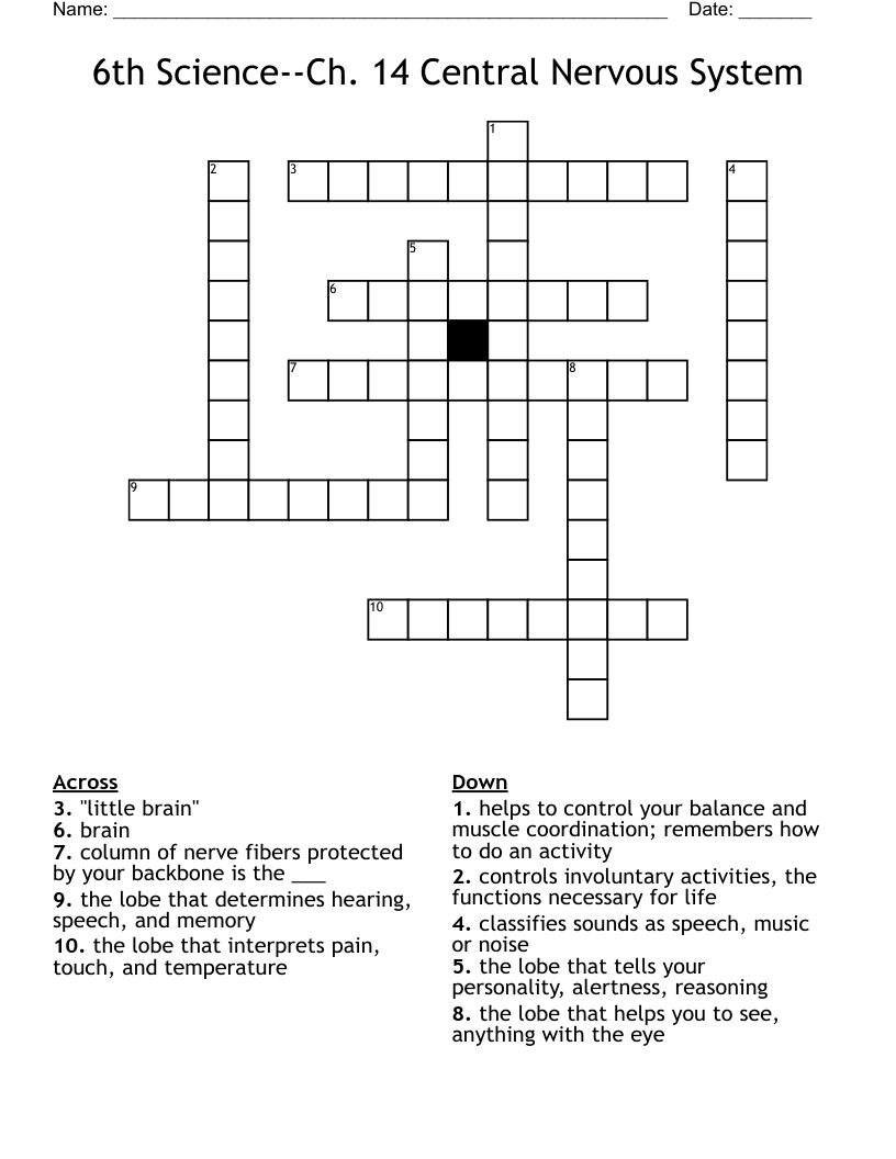 6th Science--Ch. 14 Central Nervous System Crossword