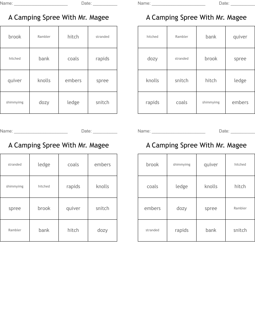 A Camping Spree With Mr. Magee Bingo Cards