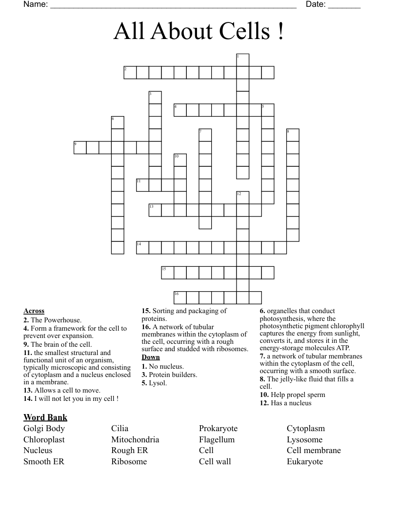 All About Cells ! Crossword