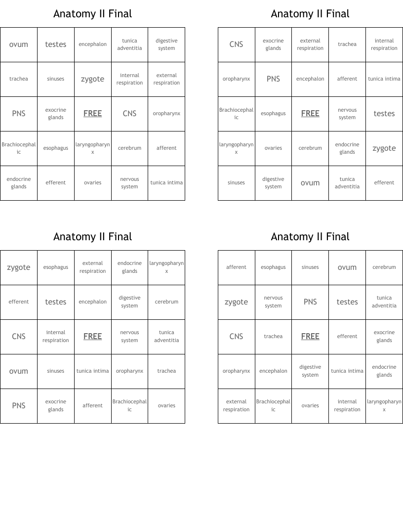 Anatomy II Final Bingo Cards