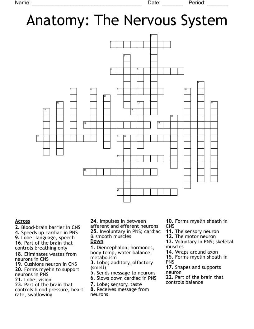 Anatomy And Physiology Coloring Workbook Chapter 16 Answers LinetteLawrie