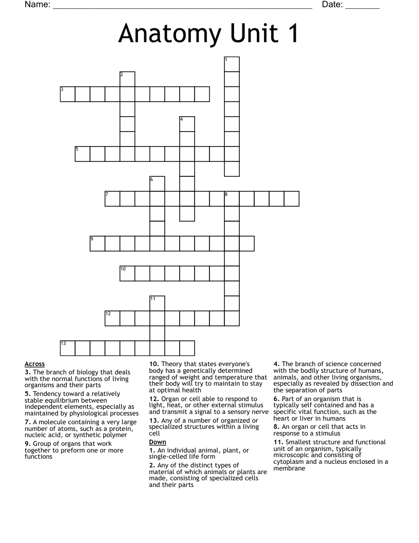 Anatomy Unit 1 Crossword WordMint