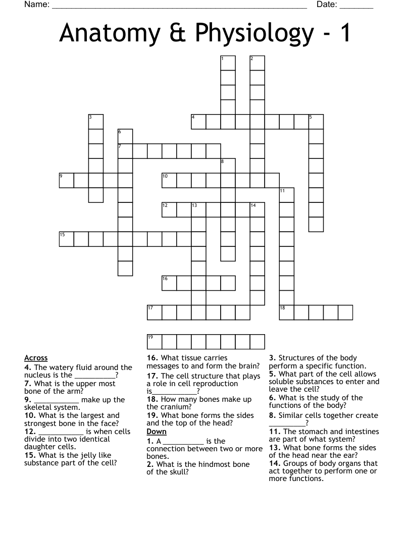 Anatomy & Physiology - 1 Crossword