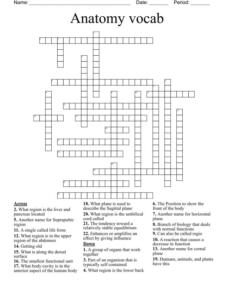 Anatomy vocab Crossword