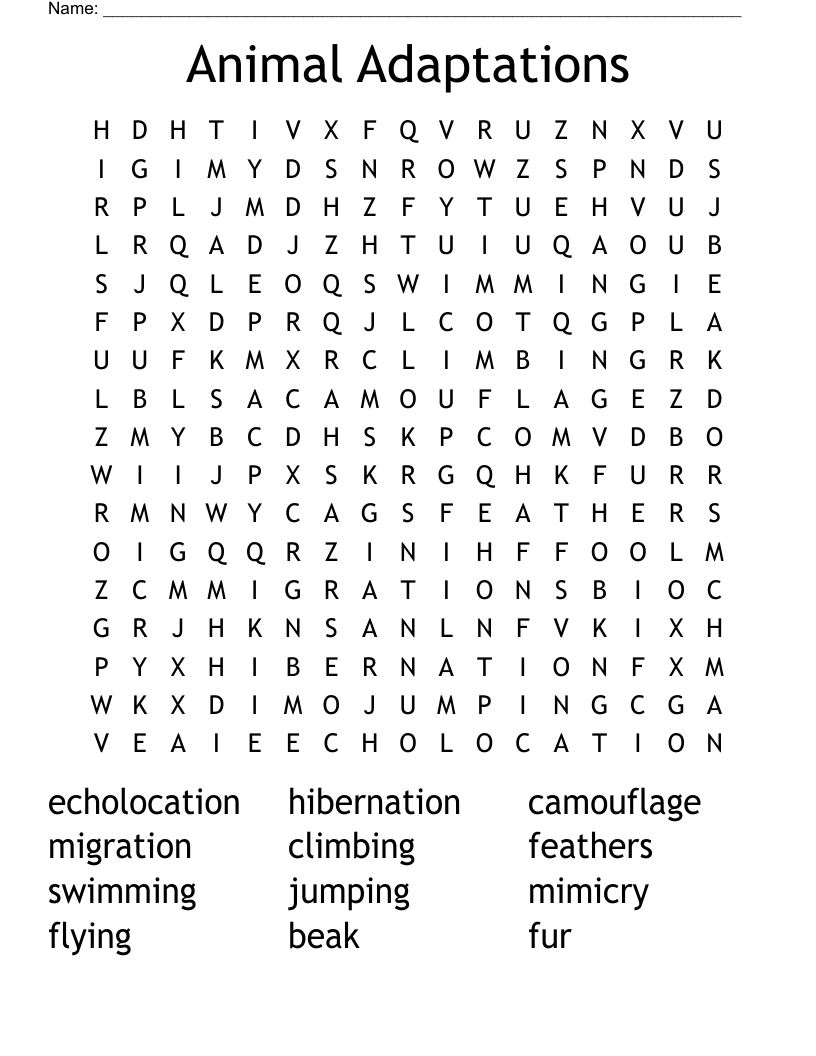 Animal Adaptations Word Search WordMint
