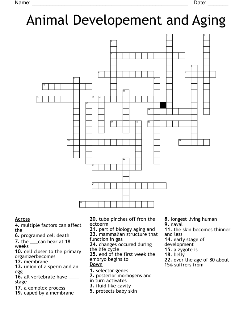 Animal Developement and Aging Crossword