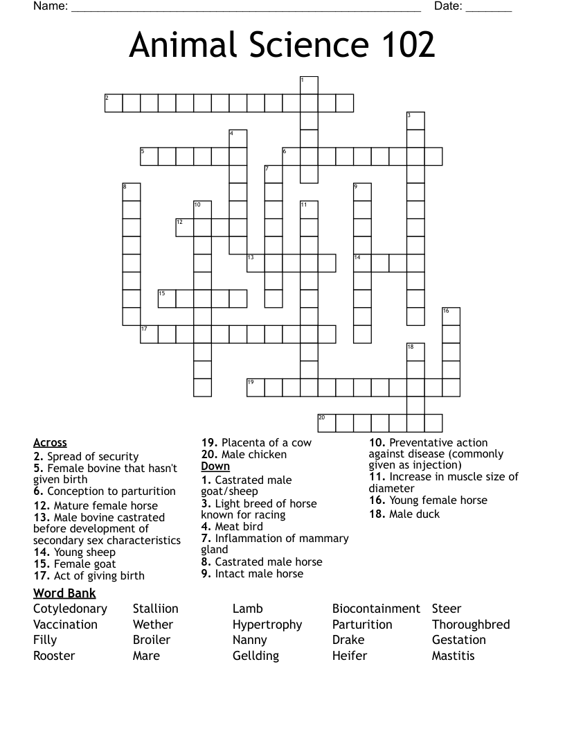 Animal Science 102 Crossword WordMint