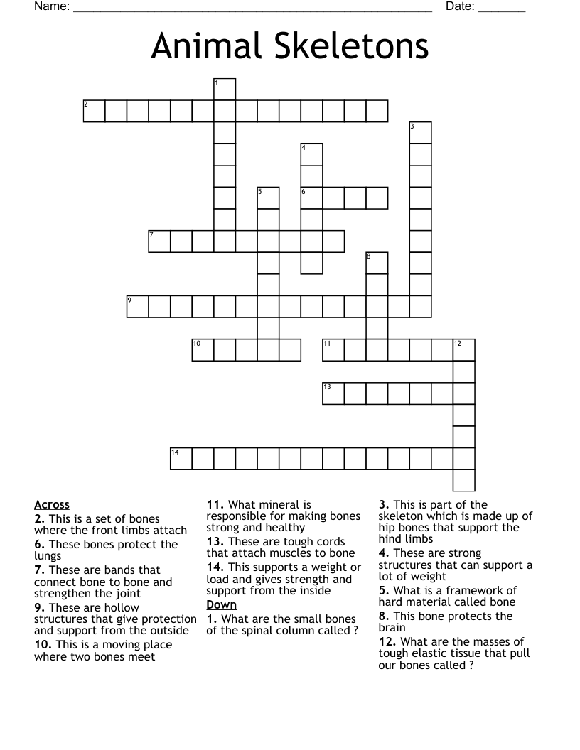 Animal Skeletons Crossword WordMint