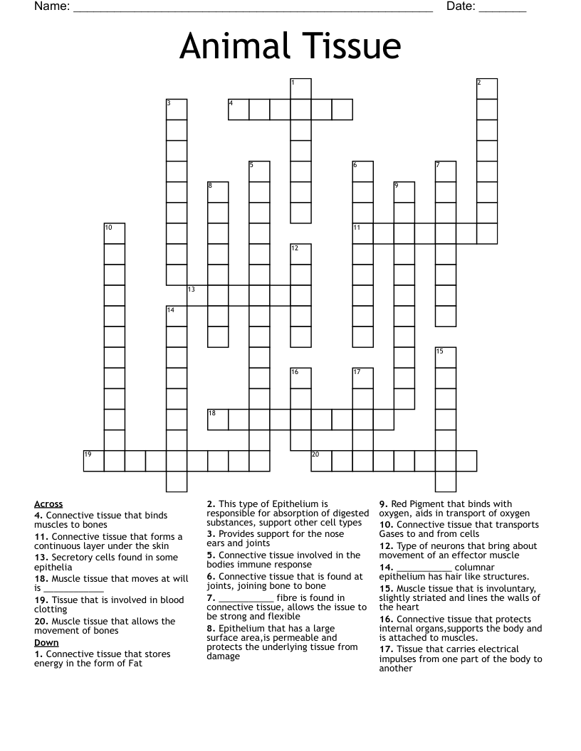 Tissues Crossword WordMint
