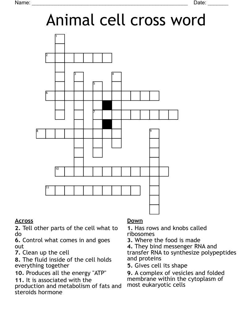 Animal cell cross word