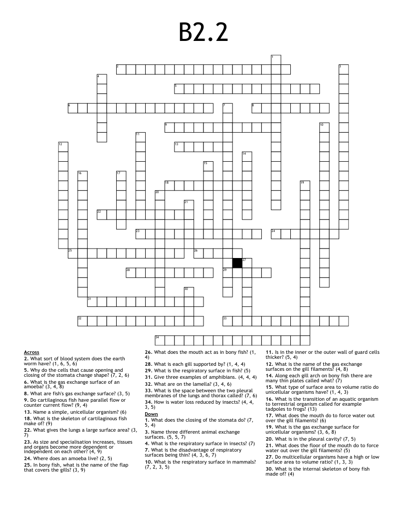 B2.2 Crossword