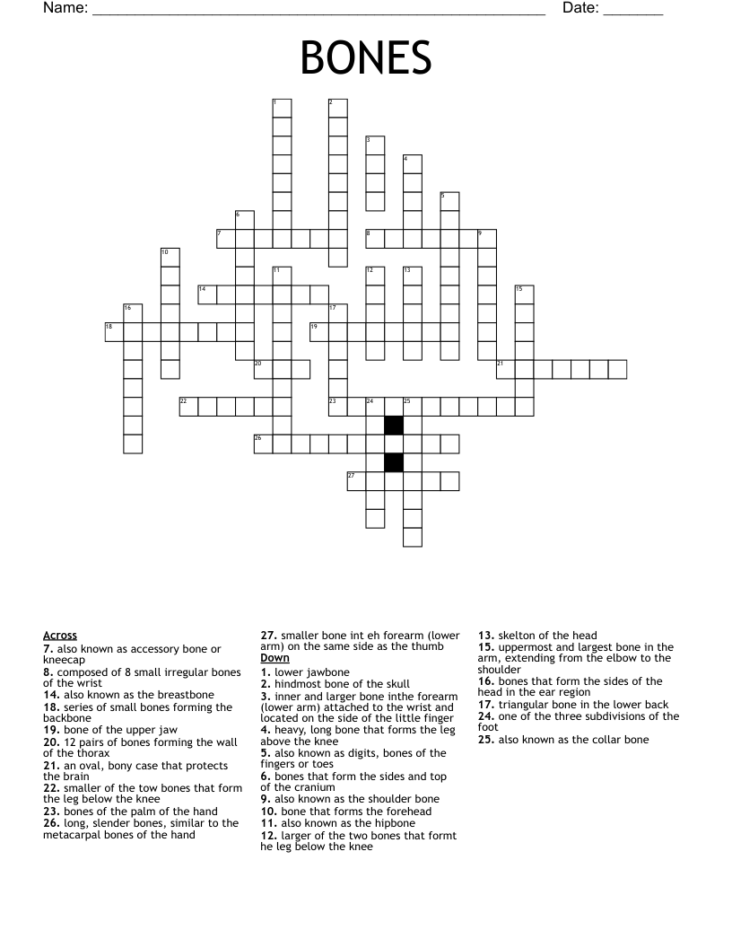 Of A Pelvic Bone Crossword