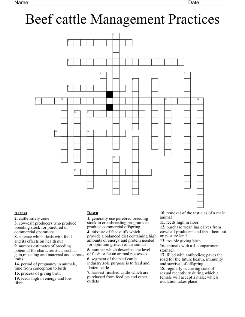 Beef cattle Management Practices Crossword - WordMint