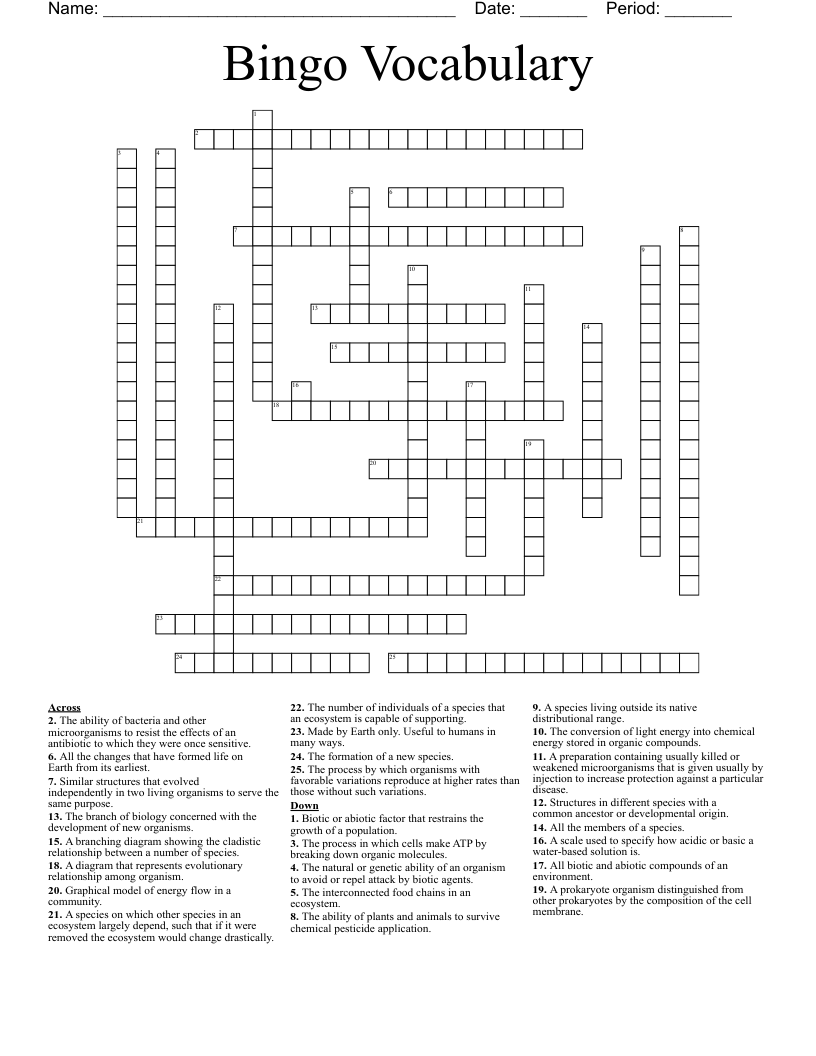 Bingo Vocabulary  Crossword