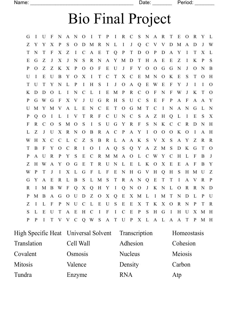 Bio Final Project Word Search