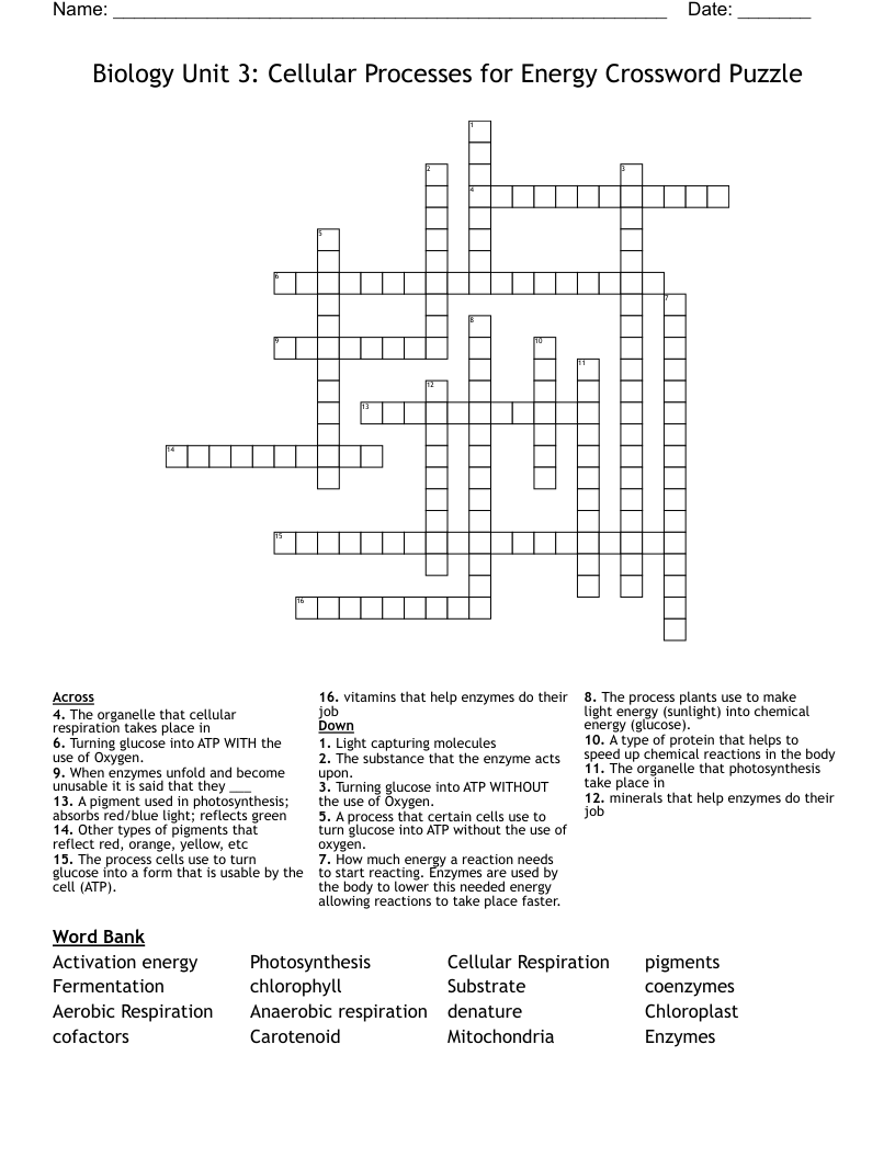 Biology Unit 3 Cellular Processes For Energy Crossword Puzzle WordMint
