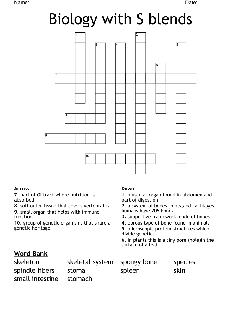 Biology with S blends Crossword WordMint