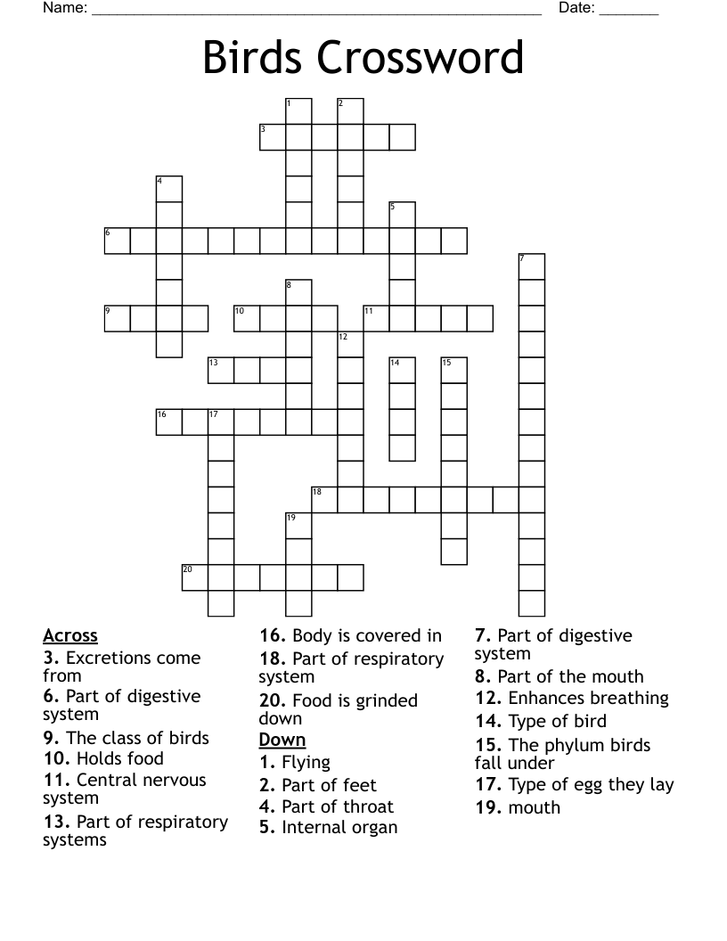 Some Birds Peepers Crossword Early Birds Say Crossword Clue