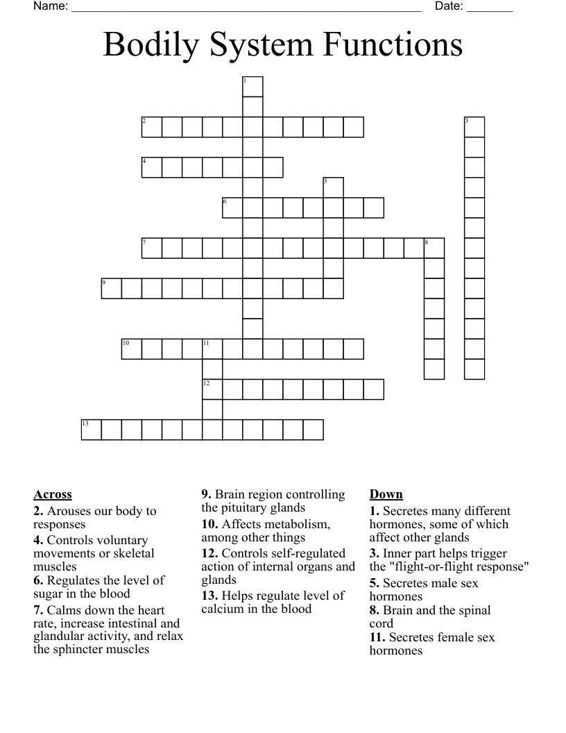 Bodily System Functions Crossword