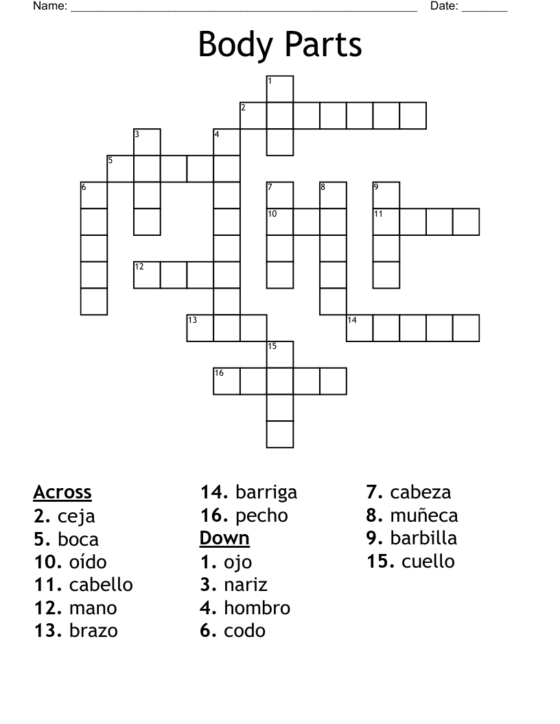 Body Parts Crossword - WordMint
