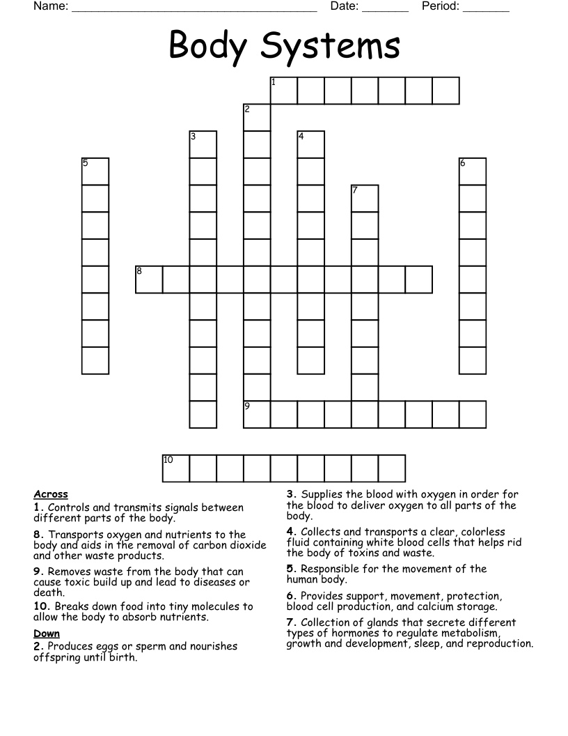 Body Systems Crossword
