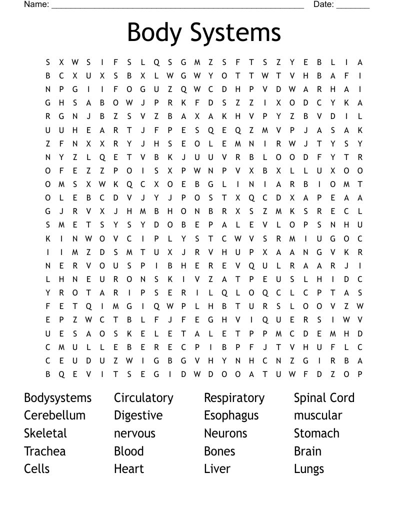 Body Systems Word Search WordMint