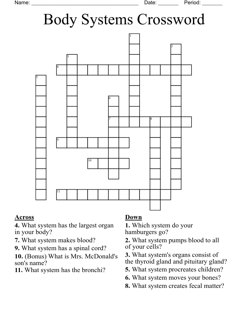 Body Systems Crossword