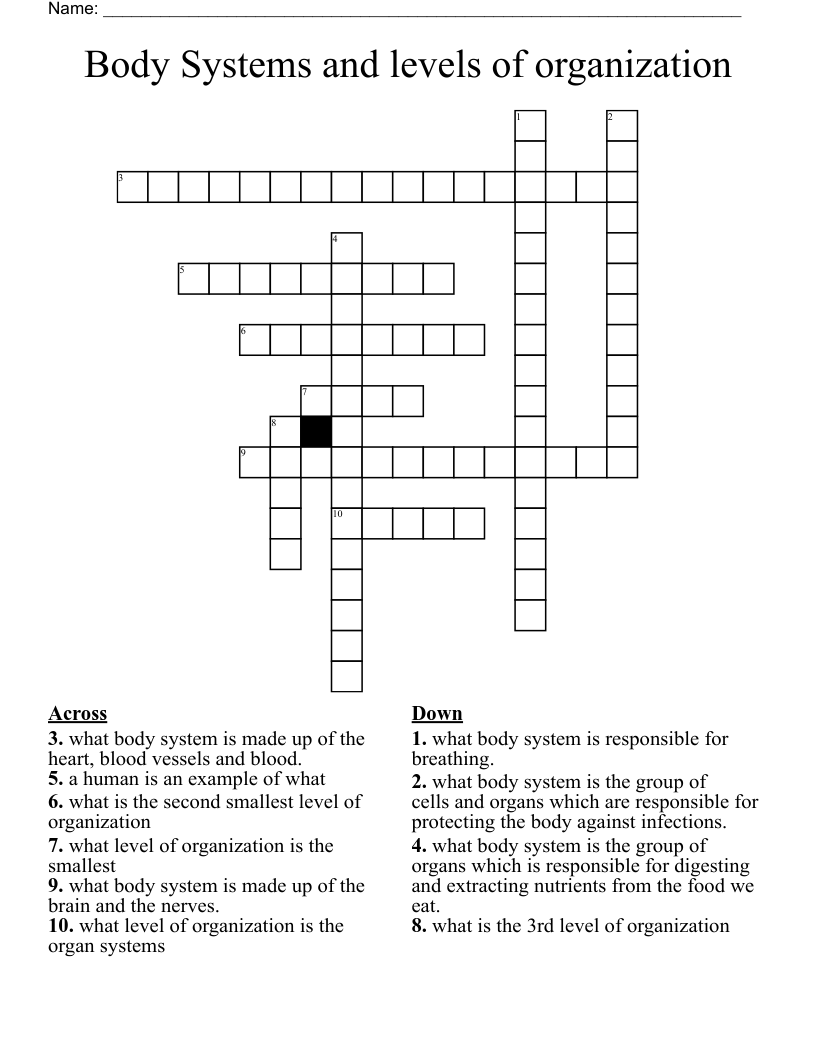 Body Systems And Levels Of Organization Crossword WordMint