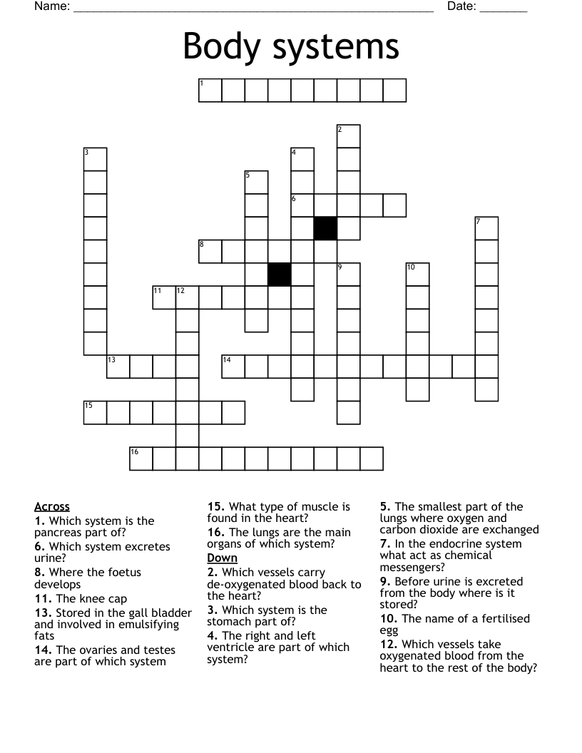 Body systems Crossword