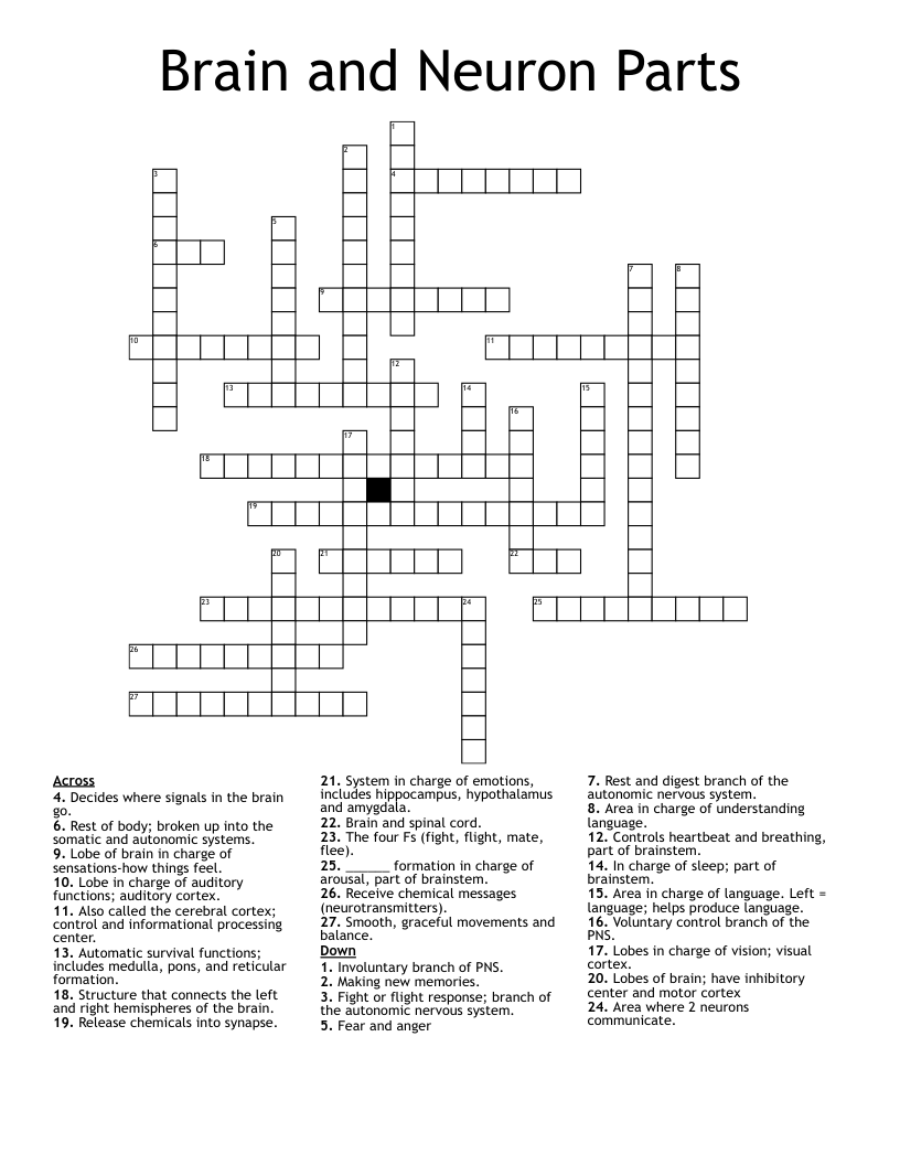 Brain Teaser Word Search WordMint