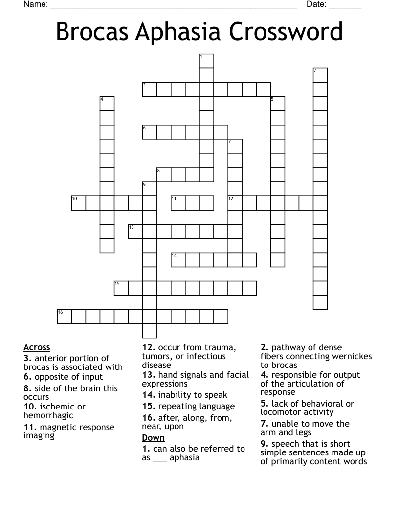 Brocas Aphasia Crossword WordMint