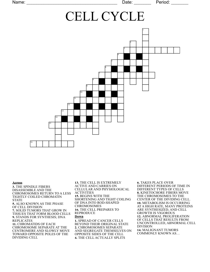 CELL CYCLE Crossword WordMint