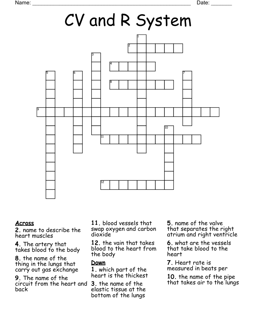 CV and R System Crossword