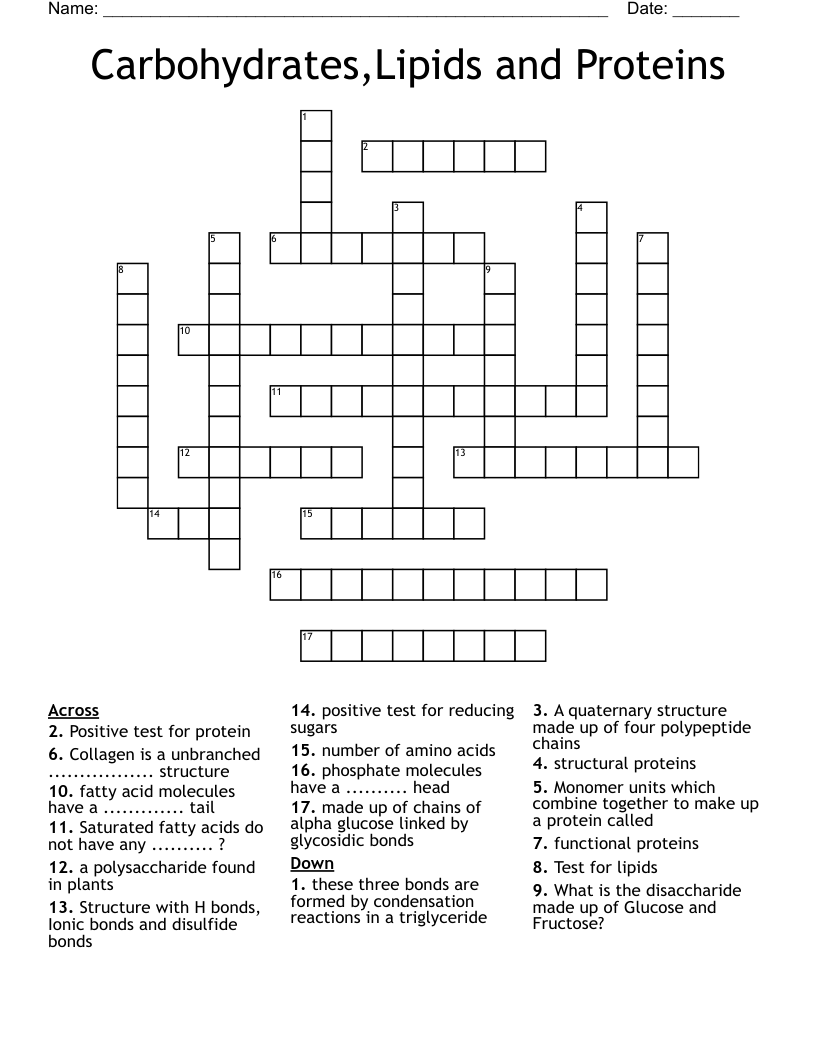 Carbohydrates Lipids And Proteins Crossword WordMint