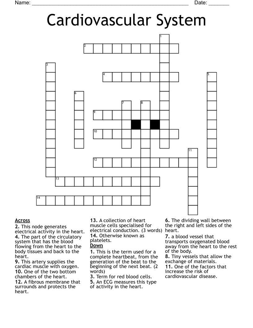 Cardiovascular Disease Crossword Puzzle Bank2home