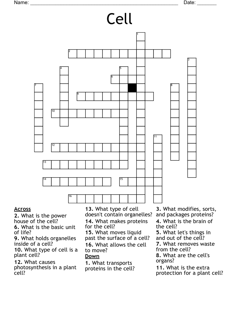 Cell Crossword