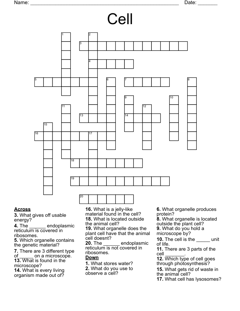 Cell Crossword