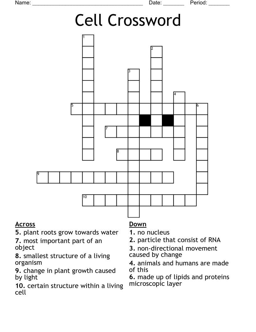 Cell Crossword WordMint